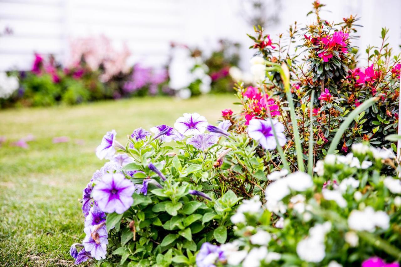 Bed & Breakfast - Boutique Canungra